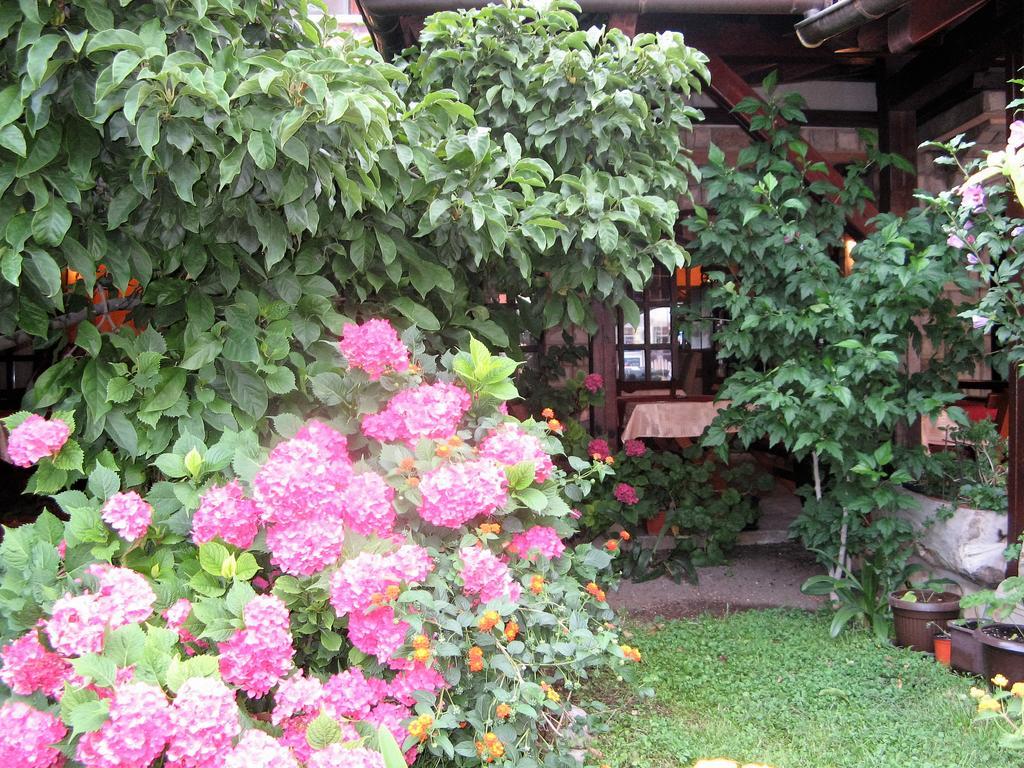 Guest House Zlatibor Будва Экстерьер фото